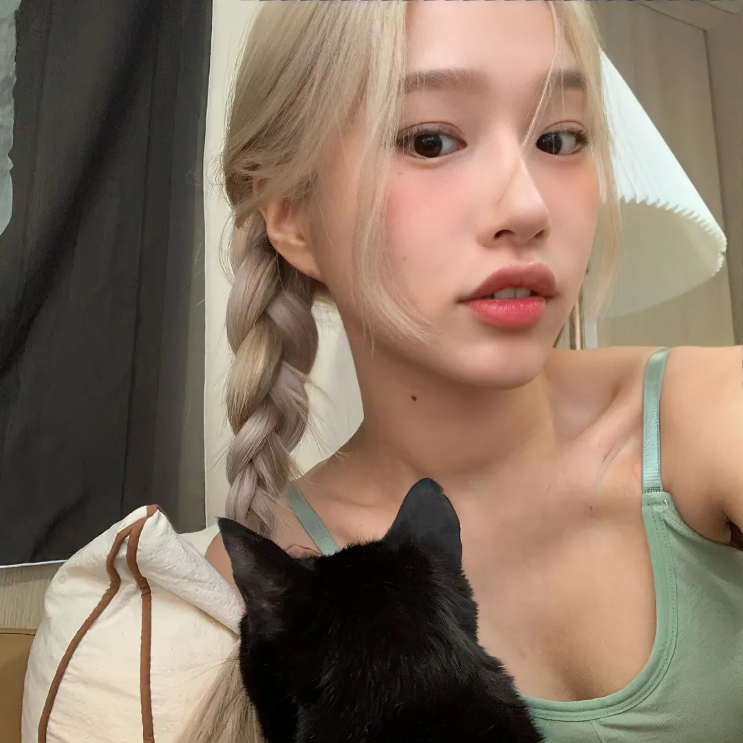 佩吉巷的火枪手
